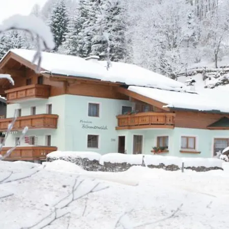 Hotel Boehmerwald