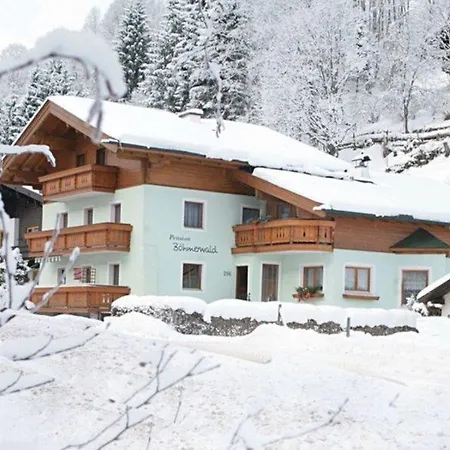 Boehmerwald Saalbach-Hinterglemm